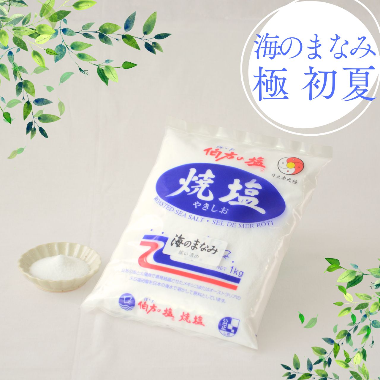 「海のまなみ　極　初夏」誕生のご案内